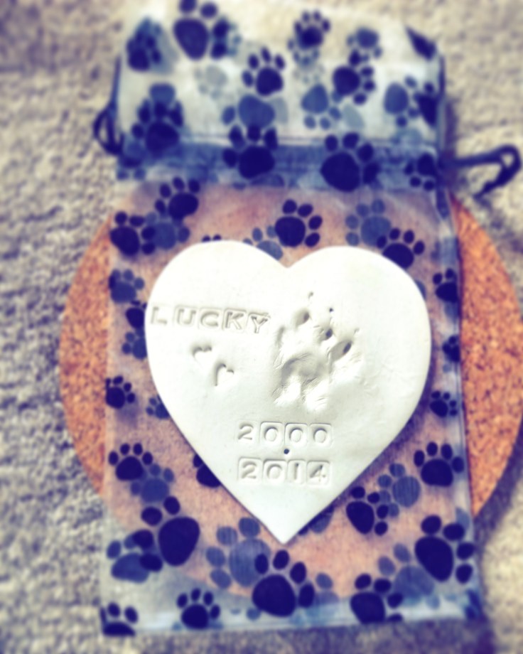 IMG_20180808_183820_790